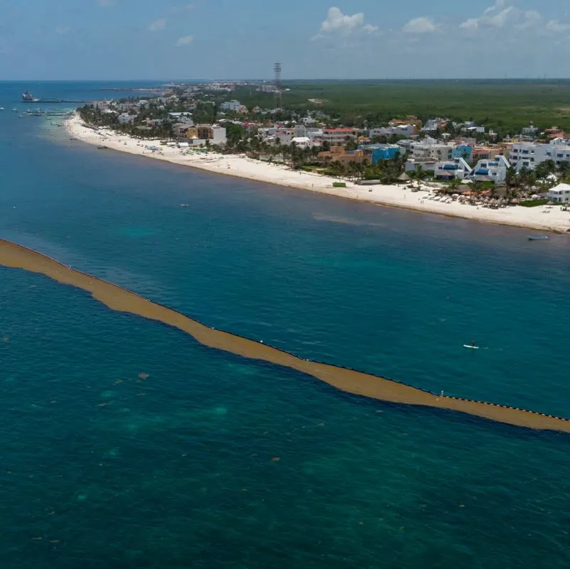 Sargassum barrier in a Mexican Caribbean beach 