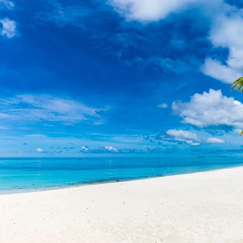 Playa del Carmen secret beach while empty