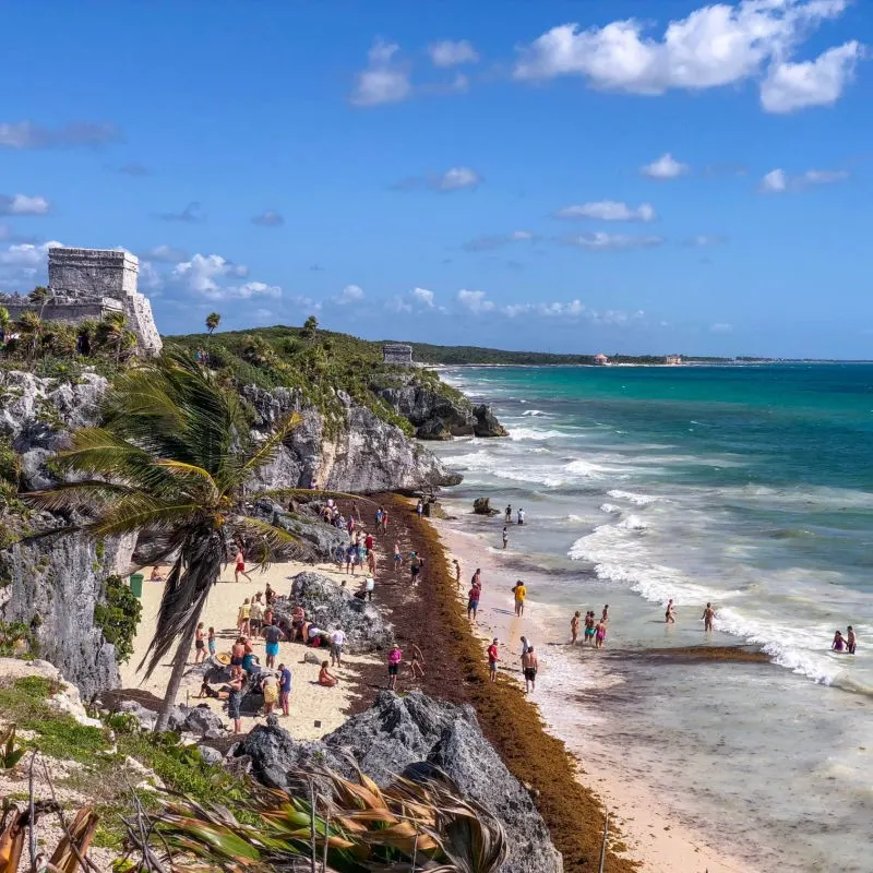Tourists on a Sargassum Covered Beach With the Ruins in the Background in Tulum, Mexico