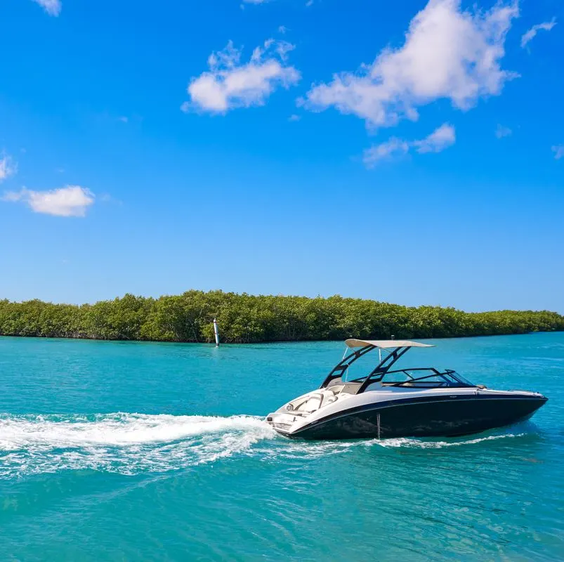 A boat sailing through the mangroves in Cancun 