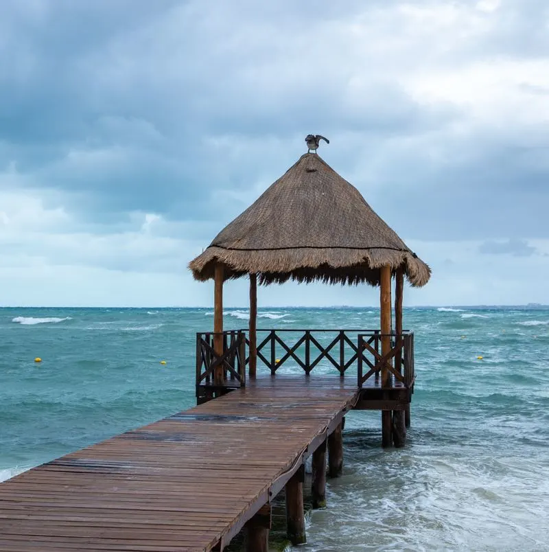 bird ocean storm in cancun 