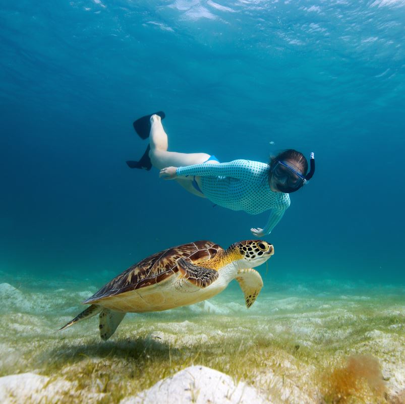 woman snorkeling with turtle