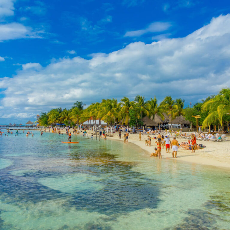 New Forecast Shows Cancun Sargassum Season Could End Early This Year ...