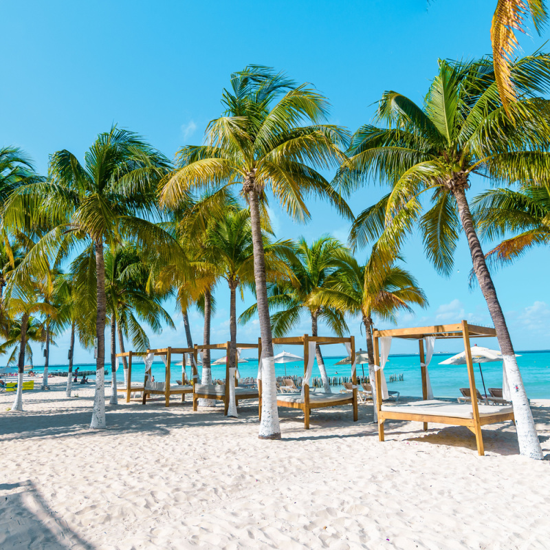 A white sand beach in Costa Mujeres surrounded by palm trees