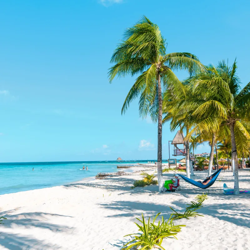 Palm trees and blue waters in Costa Mujeres