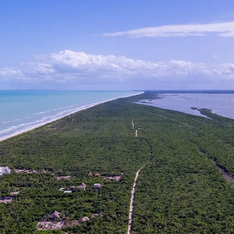 aerial view of el cuyo