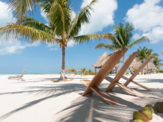 Rustic chairs on the white sand beach in the tropics with palm trees against the blue sky. Holbox Island, Mexico.