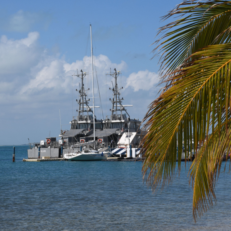 Mexican Military Navy in Isla Mujeres, Quintana Roo next to the palm trees