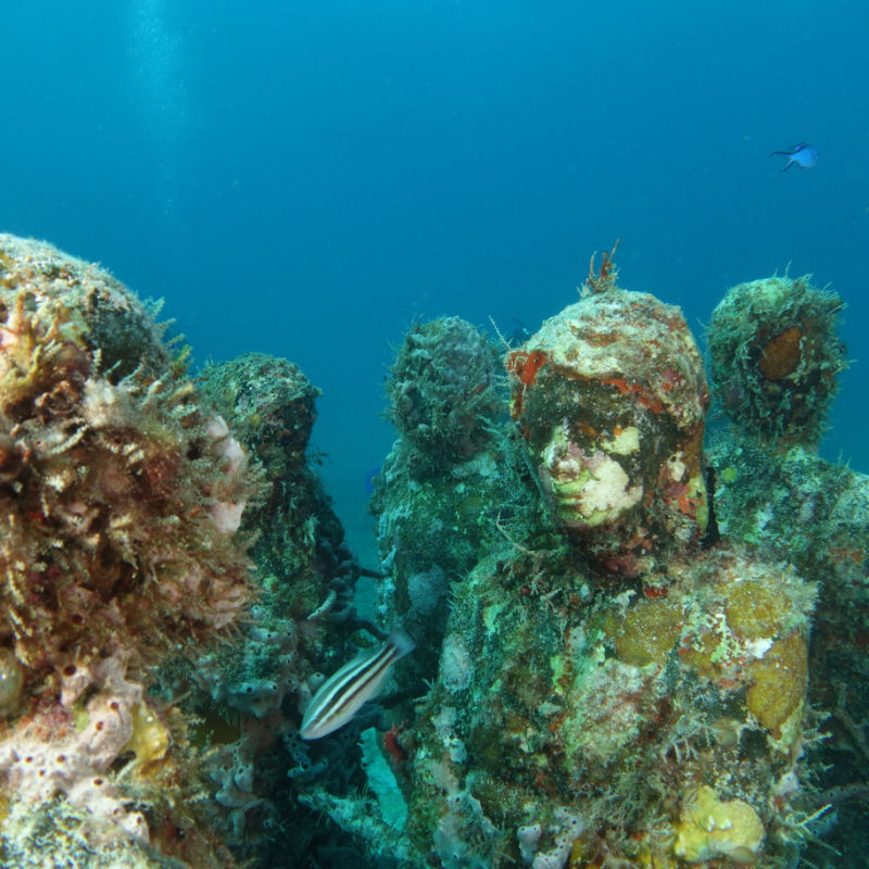 Underwater sculptures deep in the sea