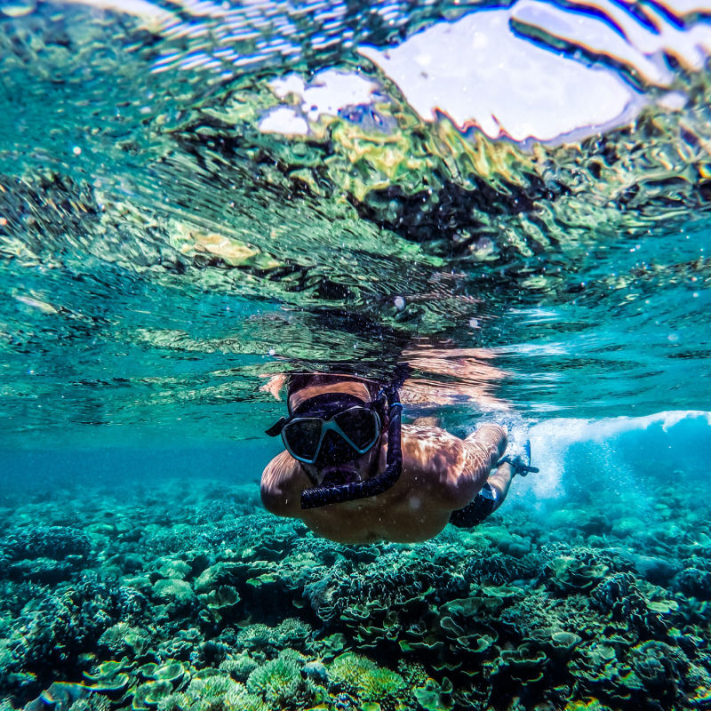 Woman snorkelling underwater with coral reefs 