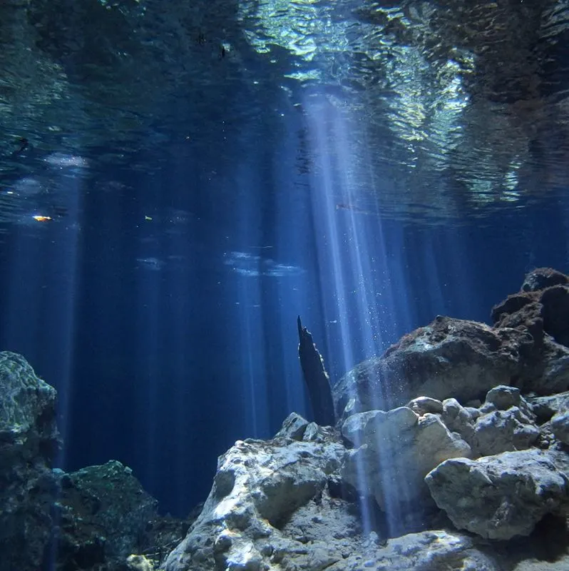 Taj Mahal Cenote