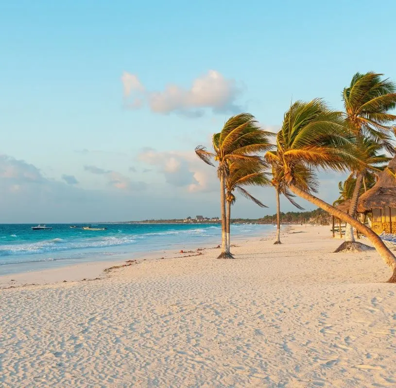 Windy beach in Tulum