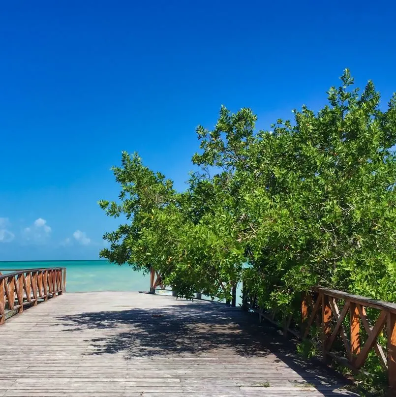 chetumal blue view