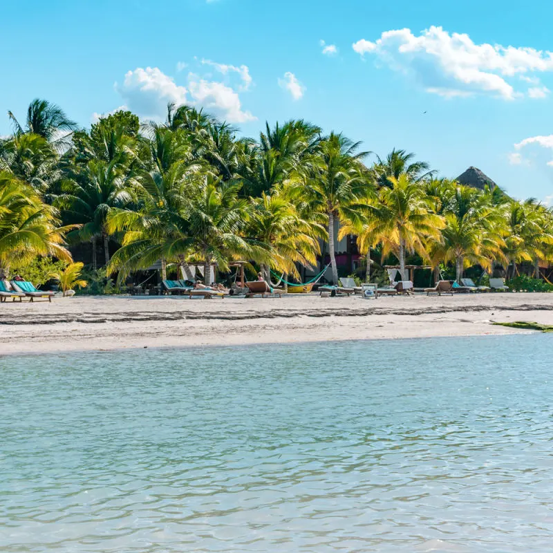 A view of a beach in Holbox with palm trees