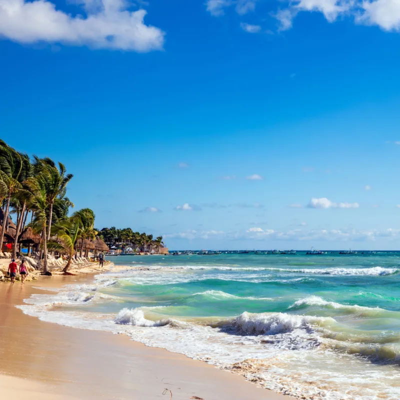 A remote beach in Playa del Carmen with no sargassum 