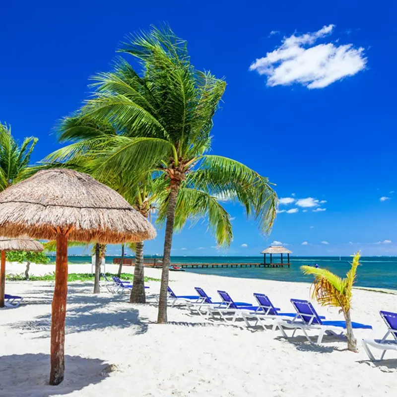 A beach in Cancun with palm trees, blue water and great weather