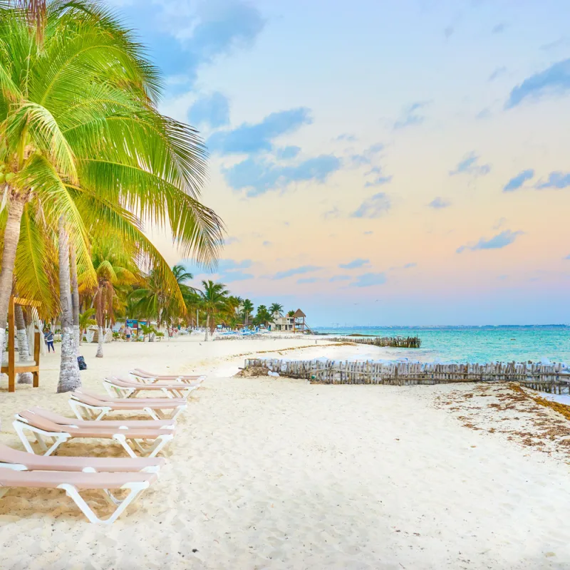 A white sand beach in Costa Mujeres with palm trees