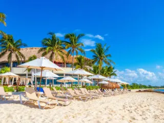 Playa Del Carmen To Have Low Sargassum Levels This Summer According To Local Authorities