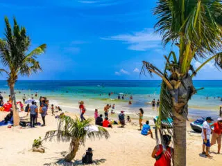 Why Playa Del Carmen's Beaches Are Cleaner Than Ever Before