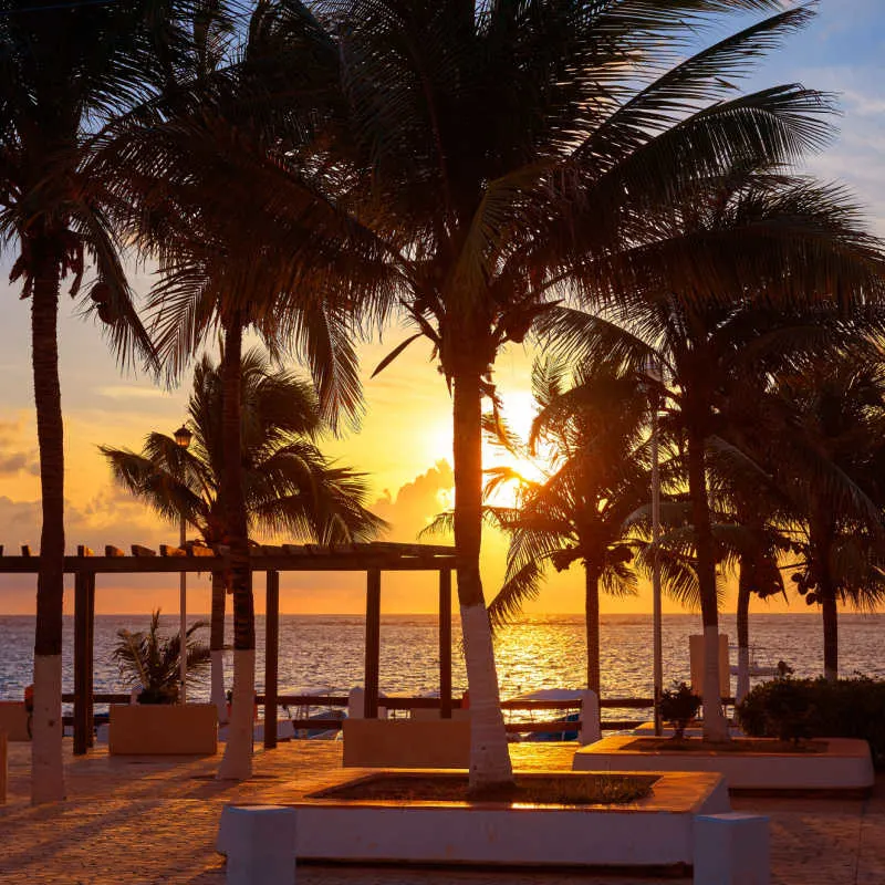 Calm view from the resort pool in a Cancun property 