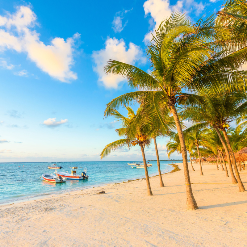 Beautiful view a Riviera Maya beach with palm trees