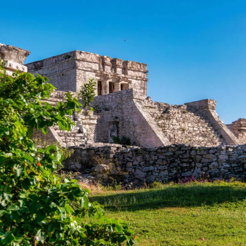 Ancient mayan ruins and greenery in tulum