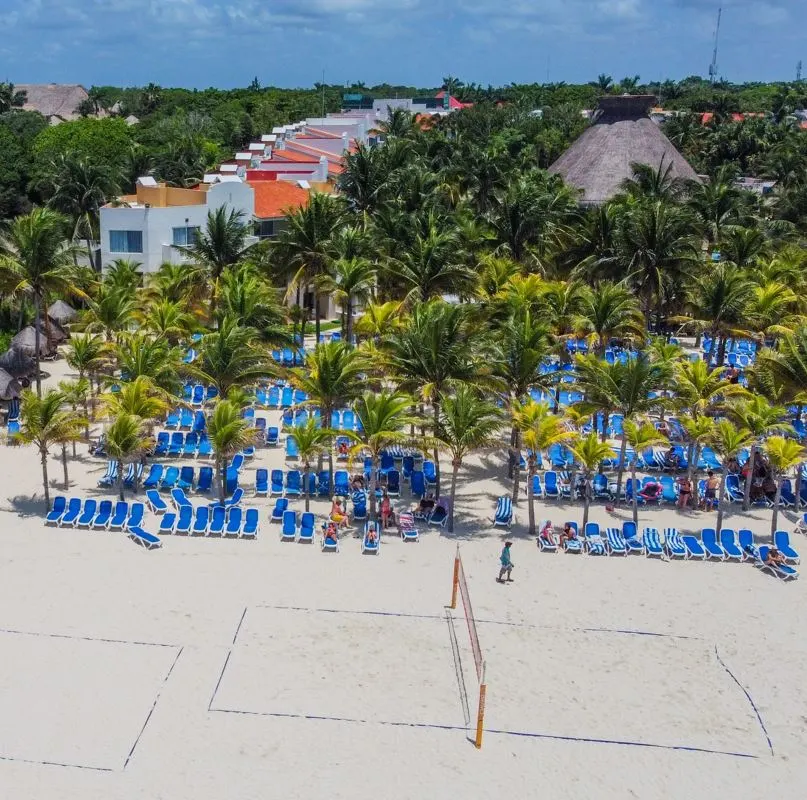 Aerial view of beach and trees in playa del carmen