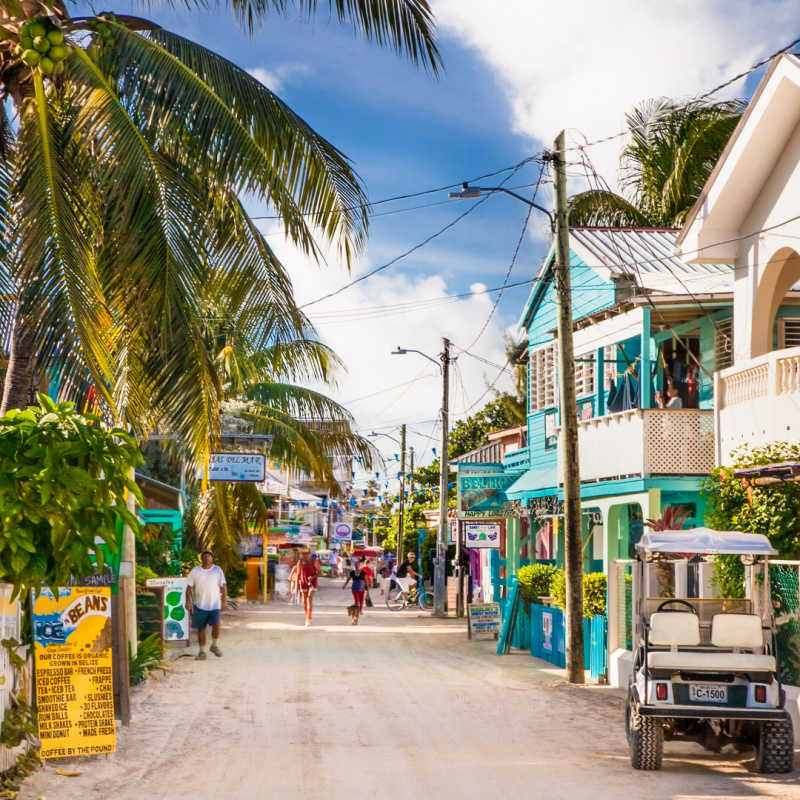 A colorful and vibrant street in belize with palm trees