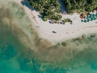Iconic Beaches Near Cancun Being Rescued Using Unlikely Ingredient — Sargassum (1)
