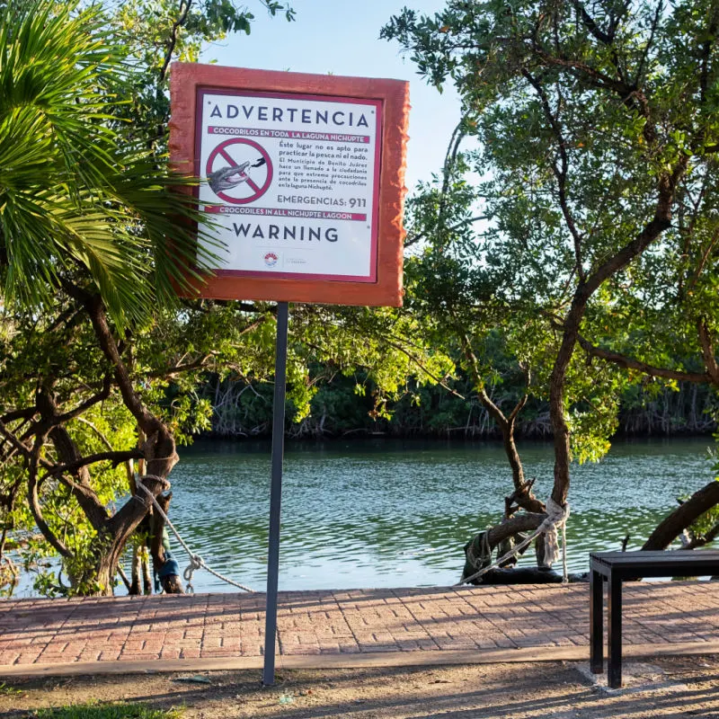 Sign warning tourists about crocodiles in Nichupté Lagoon 