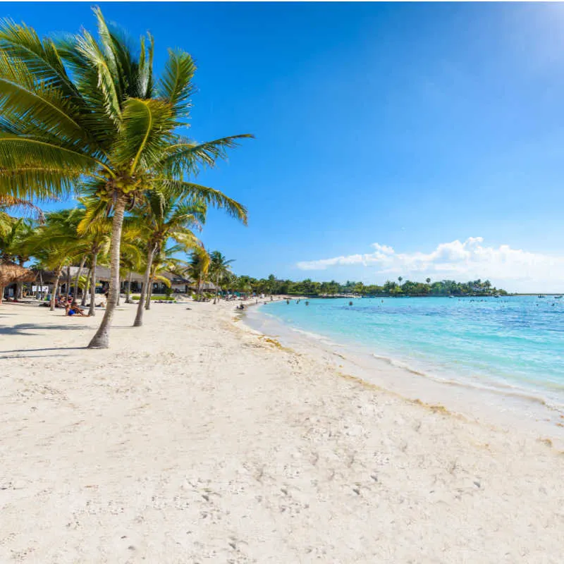 A white sand cancun beach with palm trees
