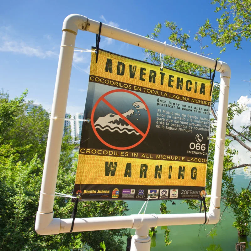 Sign warning of crocodiles in Nichupté Lagoon in Cancun.