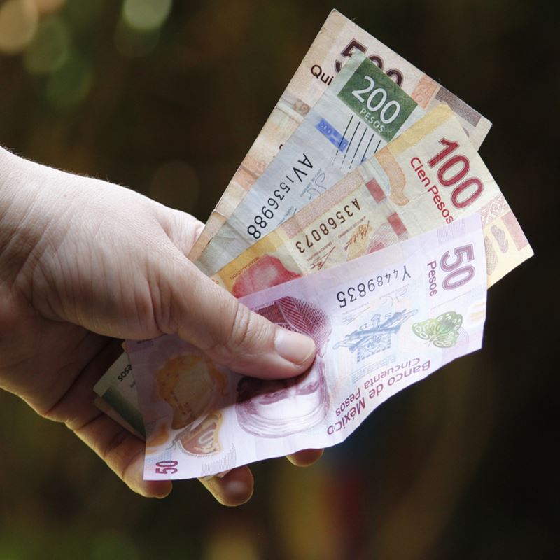 pesos in hand