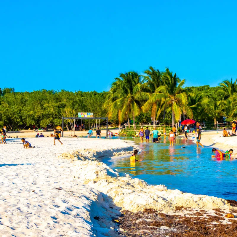 punta esmeralda now mostly clear of sargassum