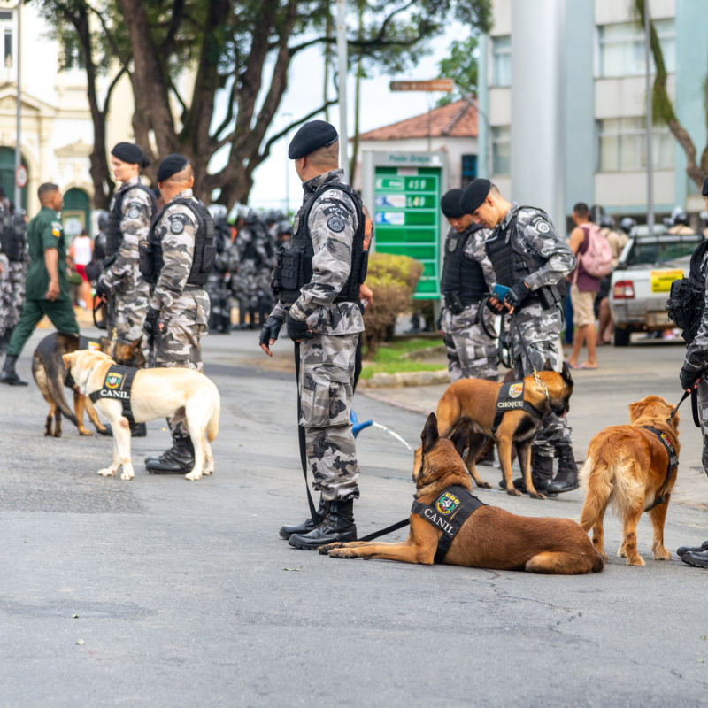 security detail with dogs in busy downtown area
