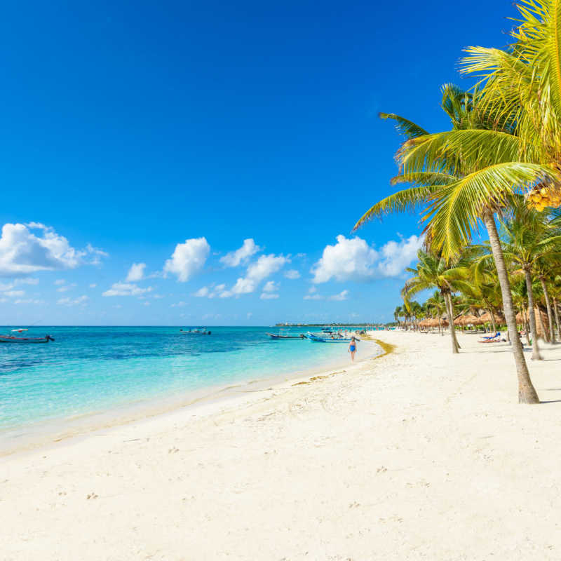 A white-sand beach inC Cancun with palm trees