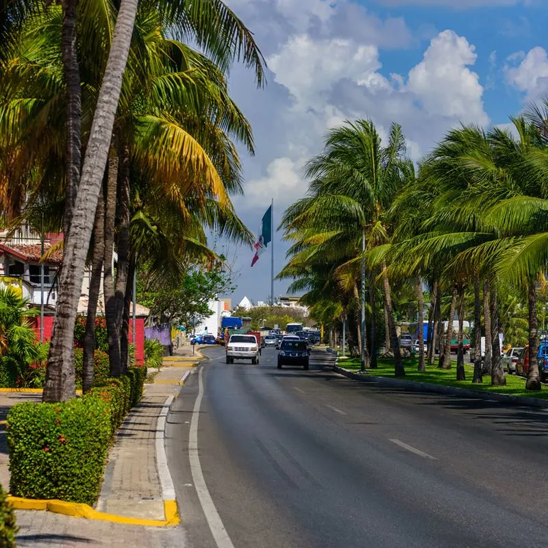 Tree Lined Street in Cancun