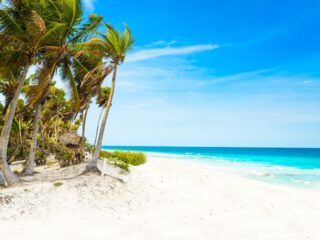 Mexican Caribbean Beach