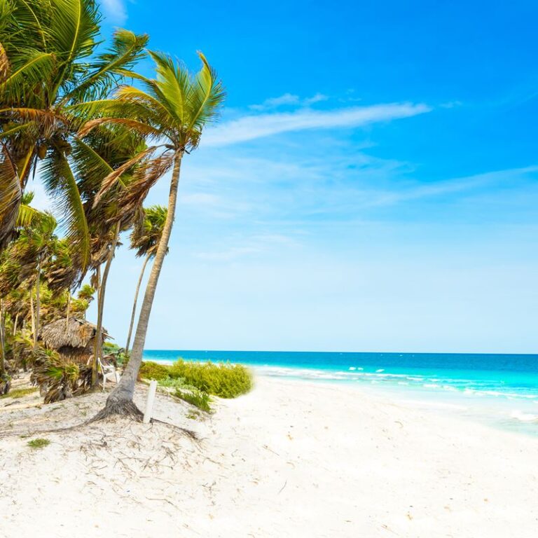 Beautiful Quintana Roo Beach