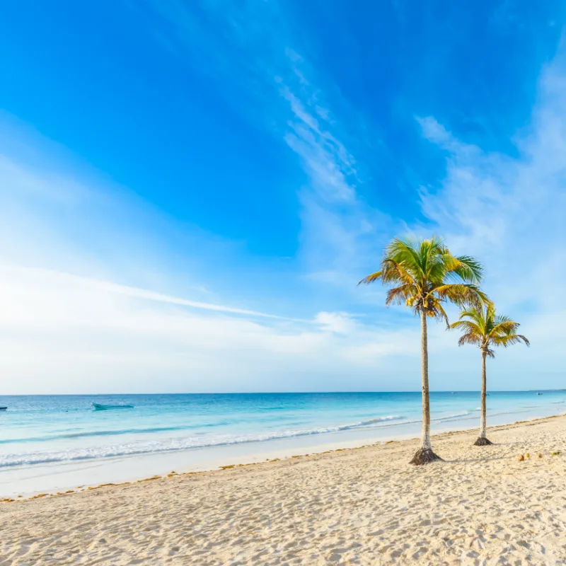 Beautiful Sargassum Free Beach in Tulum, Mexico