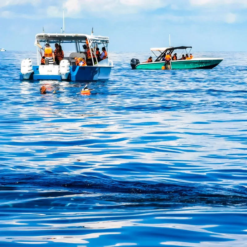 Boats in the Water in Cancun, Mexico