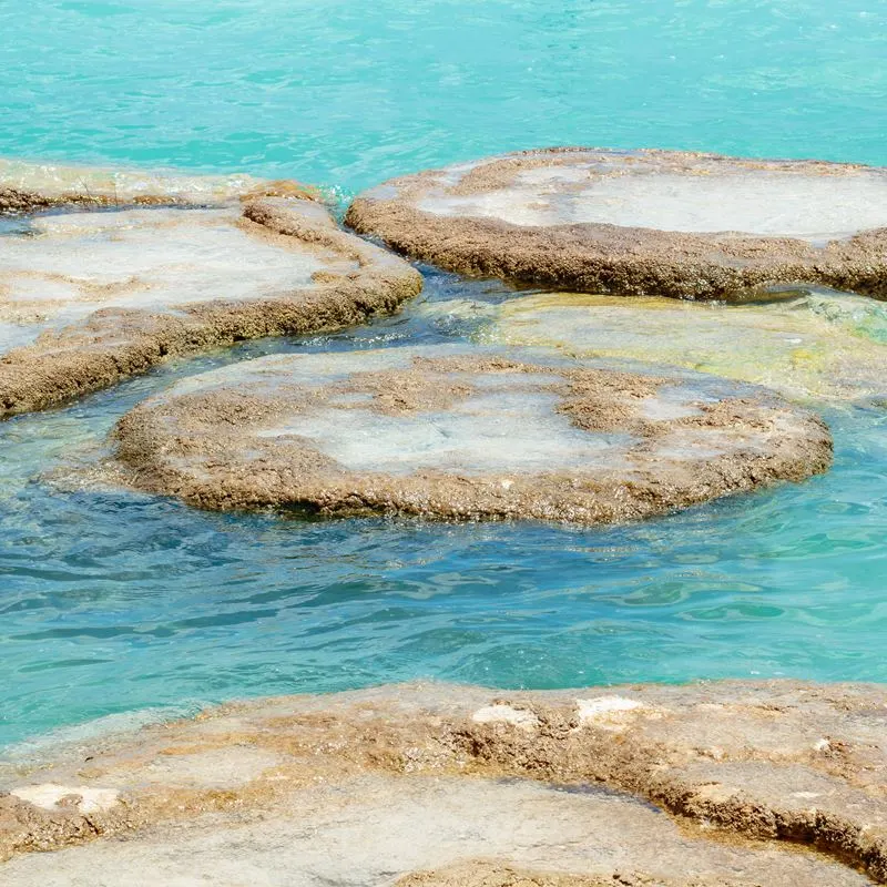 Stromatolites