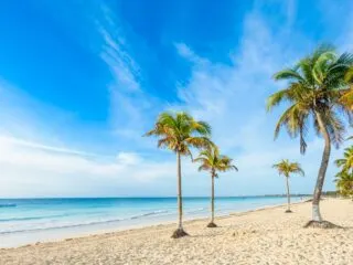 The Mexican Caribbean Has More Platinum Certified Beaches Than Anywhere Else In Mexico