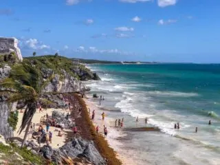 Tulum Begins New Plan To Deliver Sargassum-Free Beaches For Travelers