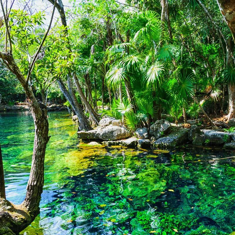 Yucatan cenote