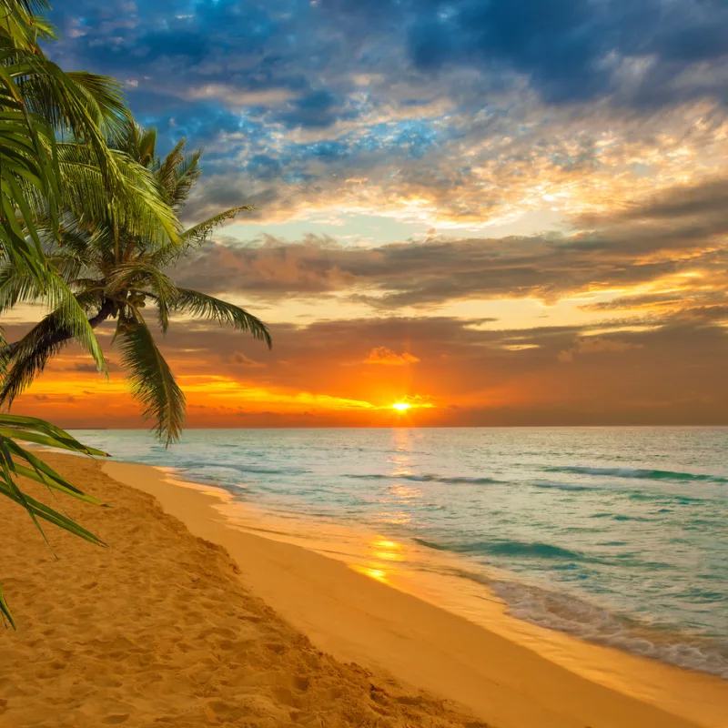 stunning sunset on a beach in the mexican caribbean