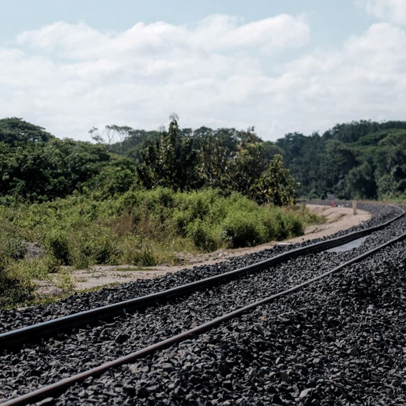 train track in jungle
