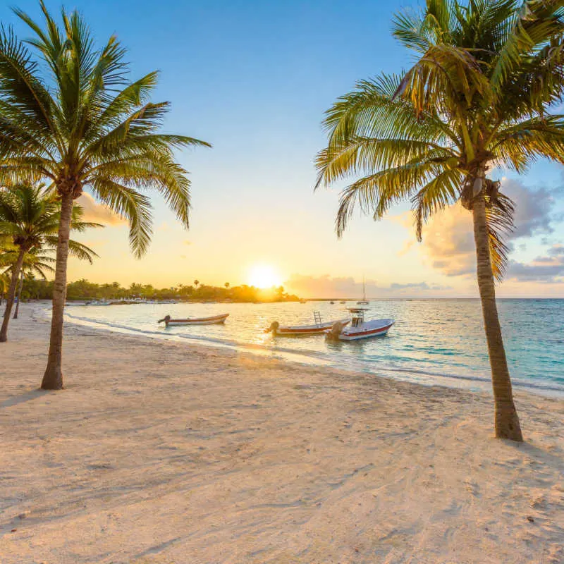 an empty beach in akumal with palm trees and blue water 