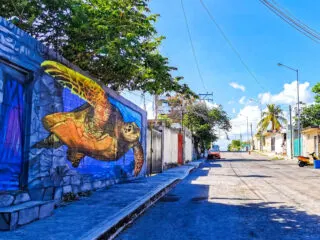 Playa Del Carmen Plans To Create World’s Largest Urban Art Display 
