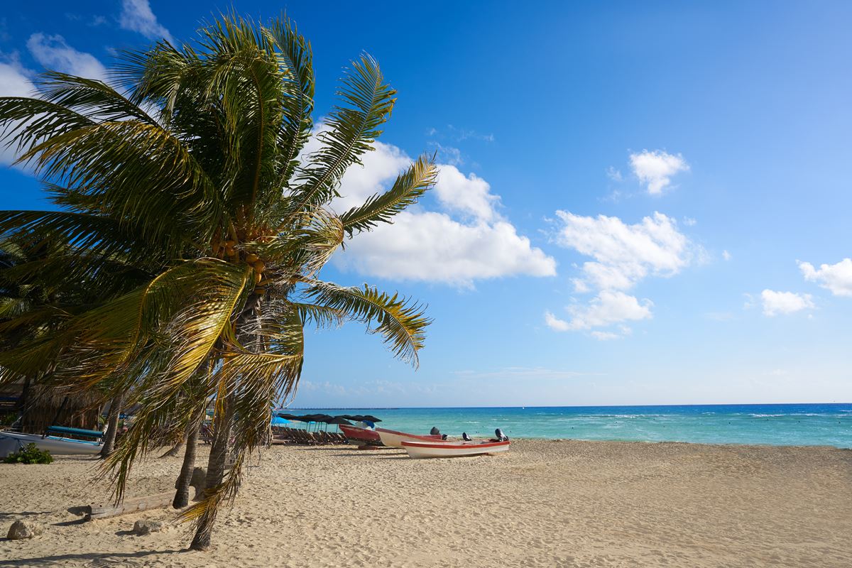 These 3 Playa Del Carmen Beaches Are The Most Popular With Travelers ...